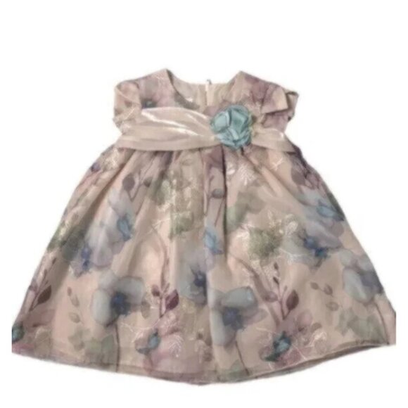 Bonnie Baby Baby Girl Blush Floral Print Fancy Party Birthday Dress 18 Months - Picture 1 of 7